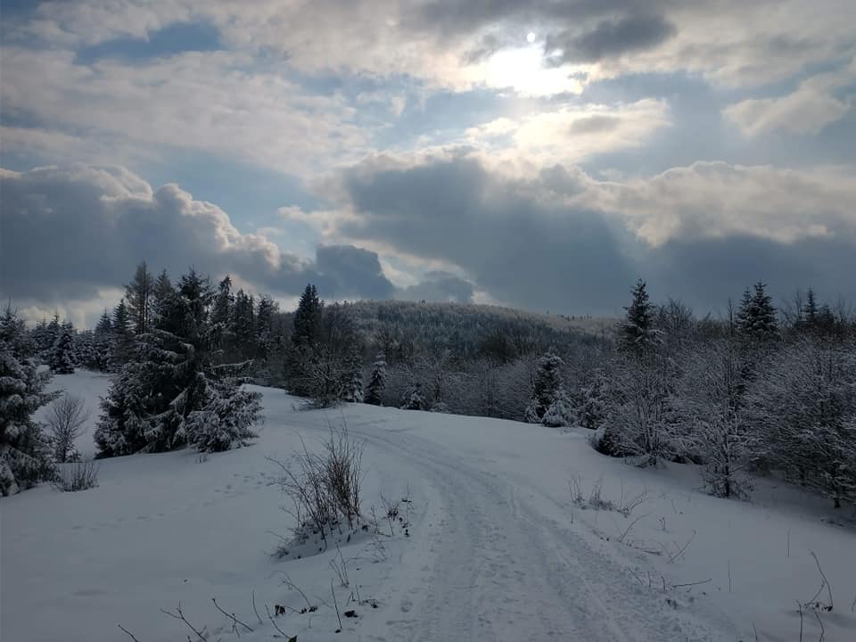 KÓŁKO FOTOGRAFICZNE   ZAPRASZA NA WYSTAWĘ FOTOGRAFICZNA   Patrycji Obrzud 