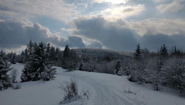 KÓŁKO FOTOGRAFICZNE   ZAPRASZA NA WYSTAWĘ FOTOGRAFICZNA   Patrycji Obrzud 