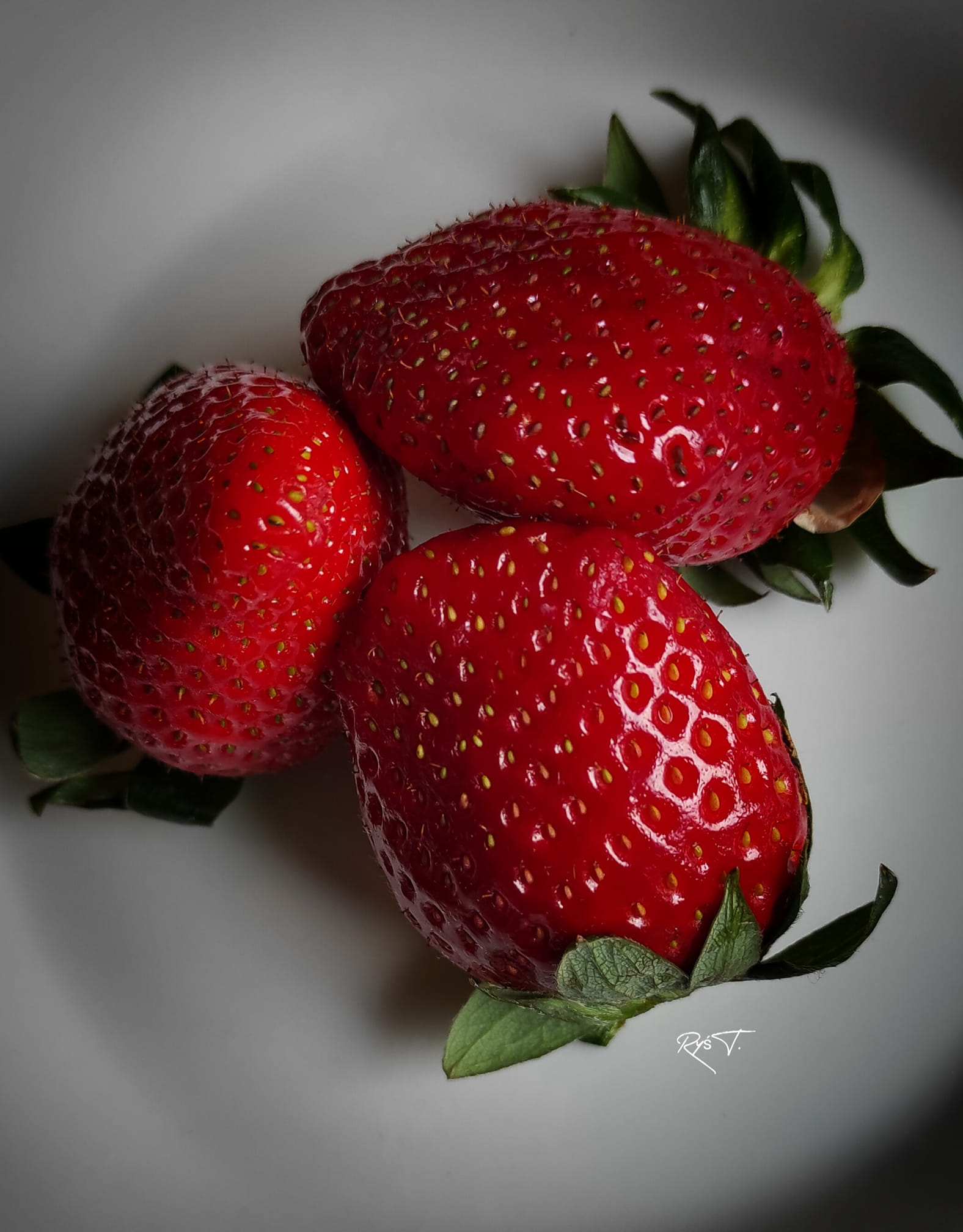 OKIEM I PIÓREM RODZICA  PAN Tadeusz Ryś 