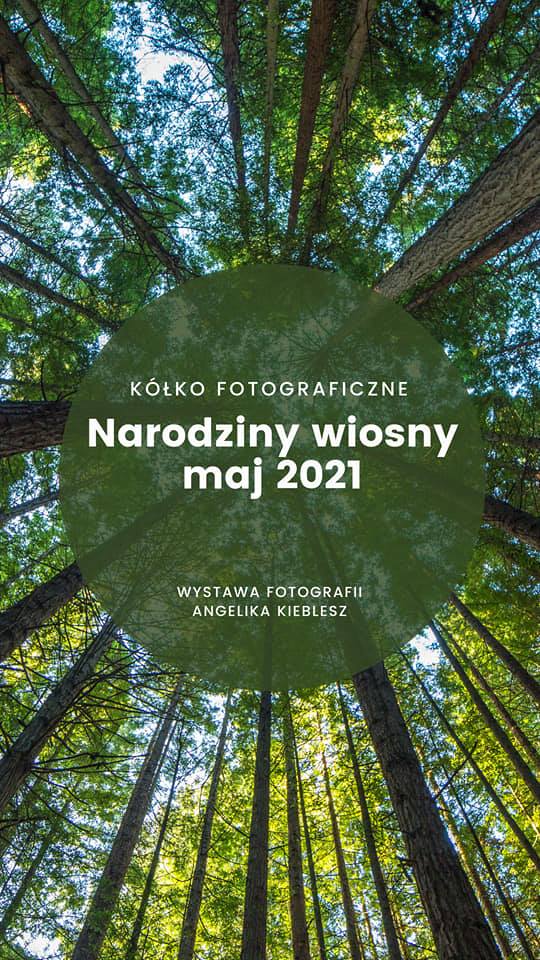 Narodziny wiosny - wystawa fotografii Angeliki Kieblesz