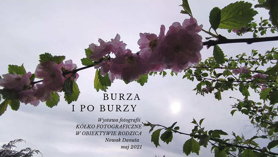 W OBIEKTYWIE RODZICA  wystawa pani Danuty Nowak