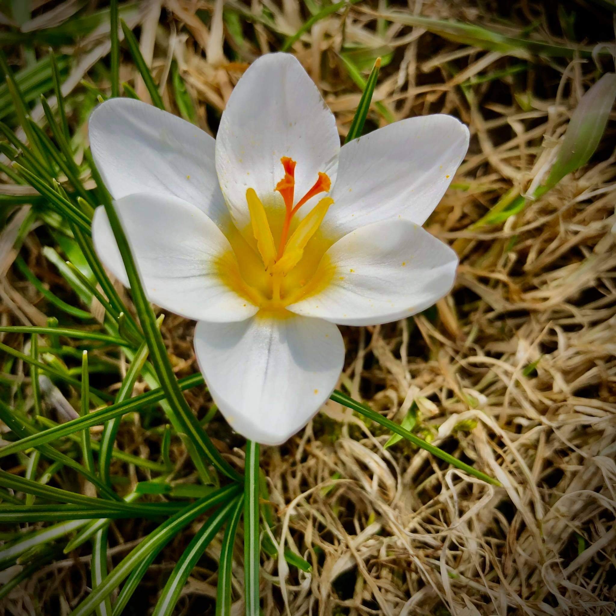 Wyniki w konkursie fotograficznym na najlepsze zdjęcia miesiąca edycja KWIECIEŃ 