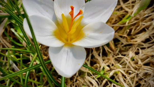 Wyniki w konkursie fotograficznym na najlepsze zdjęcia miesiąca edycja KWIECIEŃ 