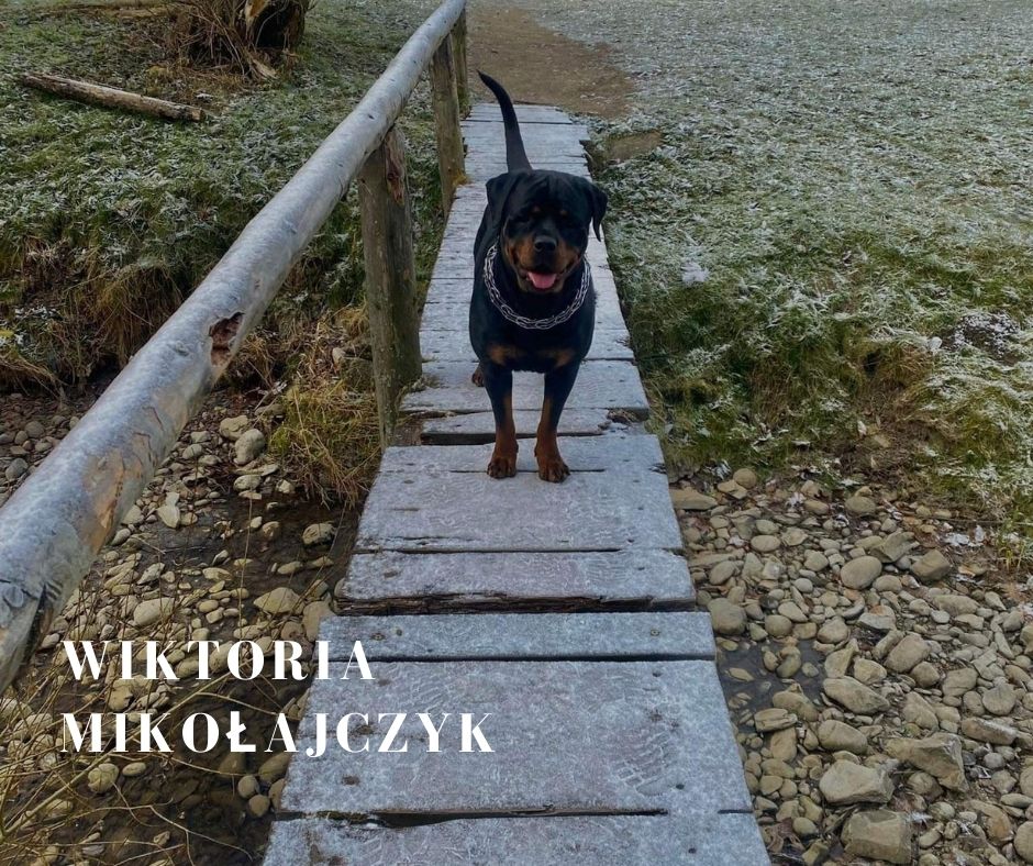 Zdjęcie miesiąca grudnia. Nagroda publiczności