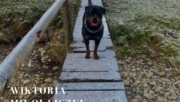 Zdjęcie miesiąca grudnia. Nagroda publiczności