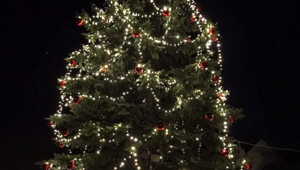 wyzwanie foto choinka