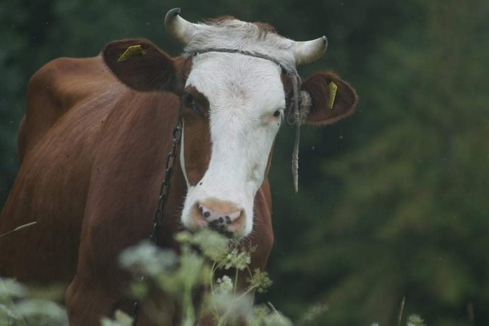 zdjecie miesiaca marzec