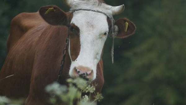 zdjecie miesiaca marzec
