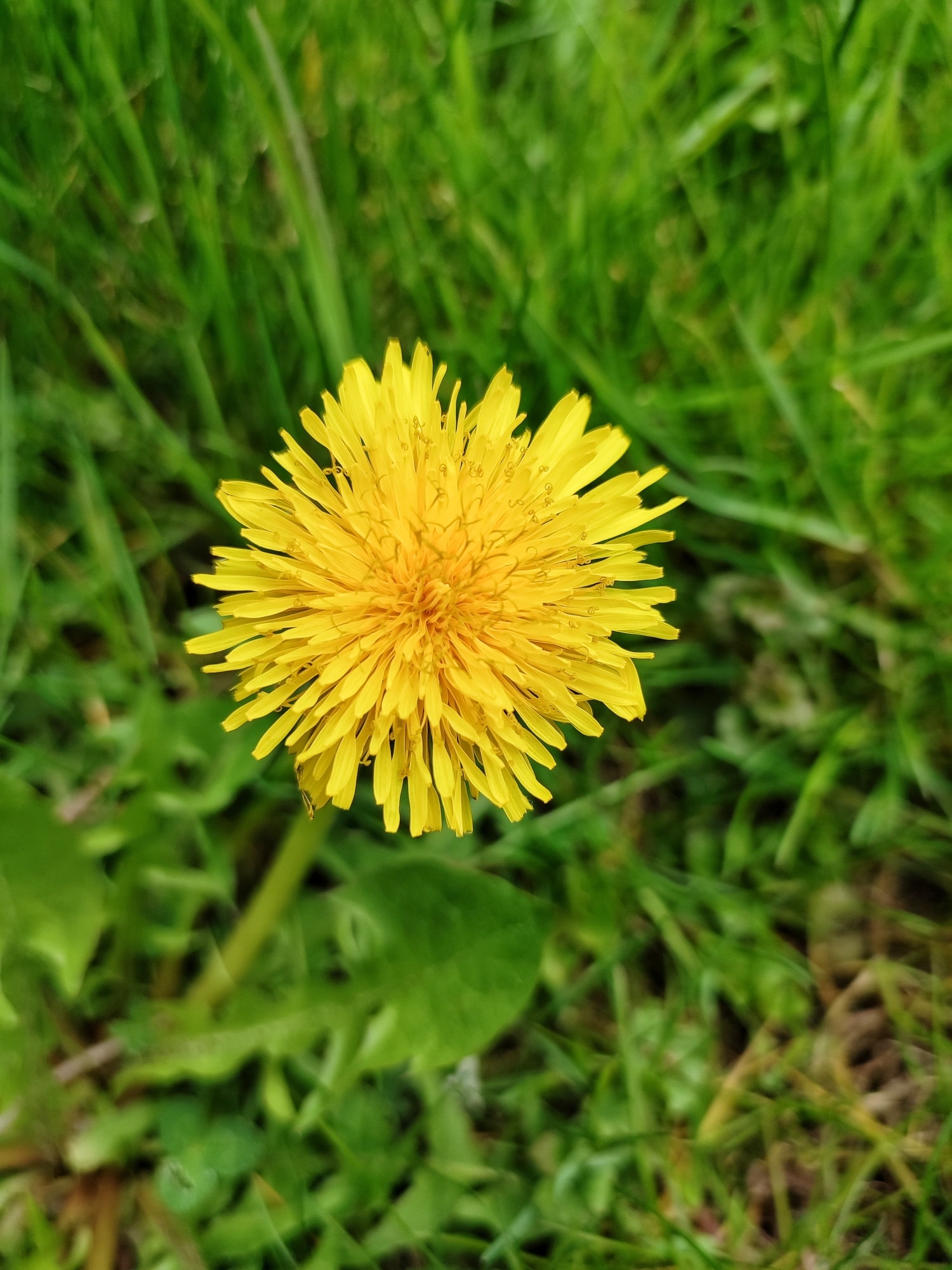 Wiosna w BURSIE 💚💚💚