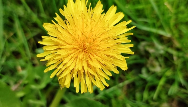 Wiosna w BURSIE 💚💚💚