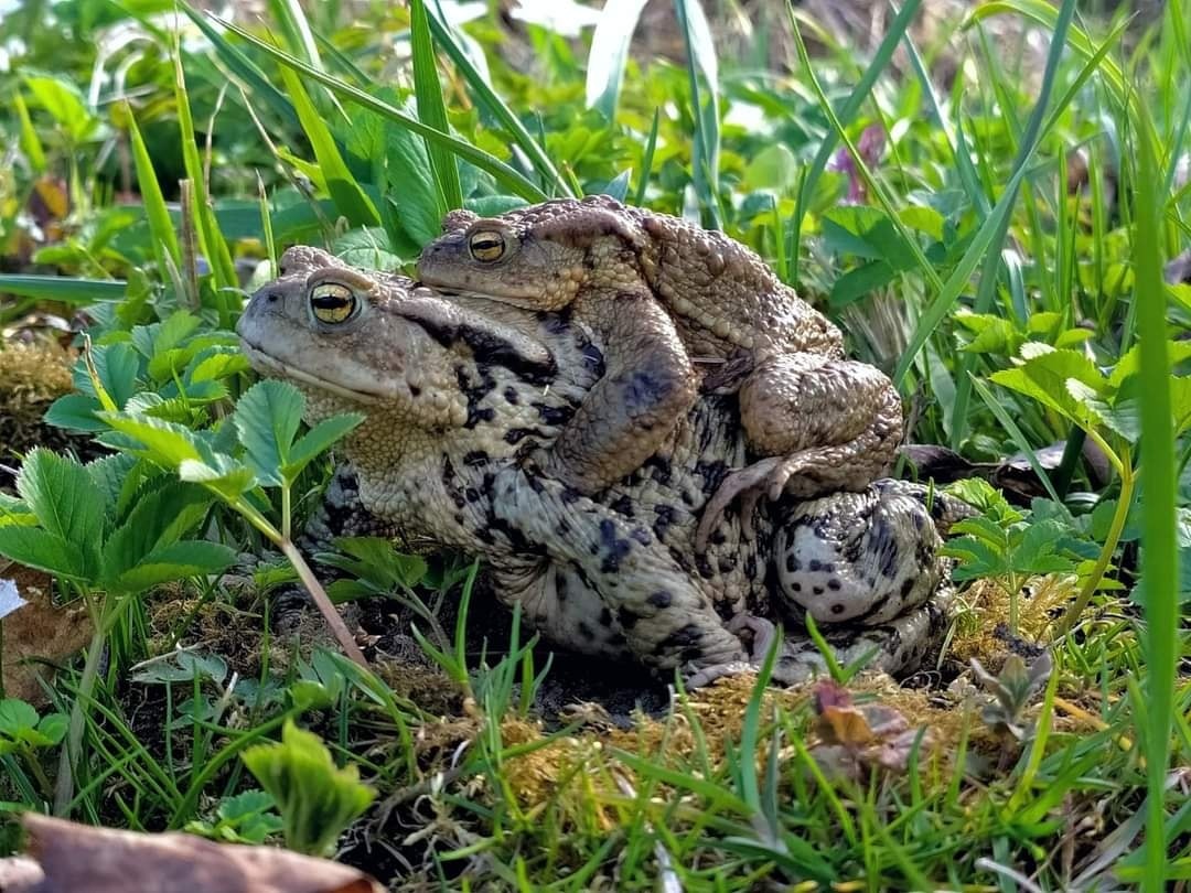 Zdjęcia miesiąca edycja KWIECIEŃ