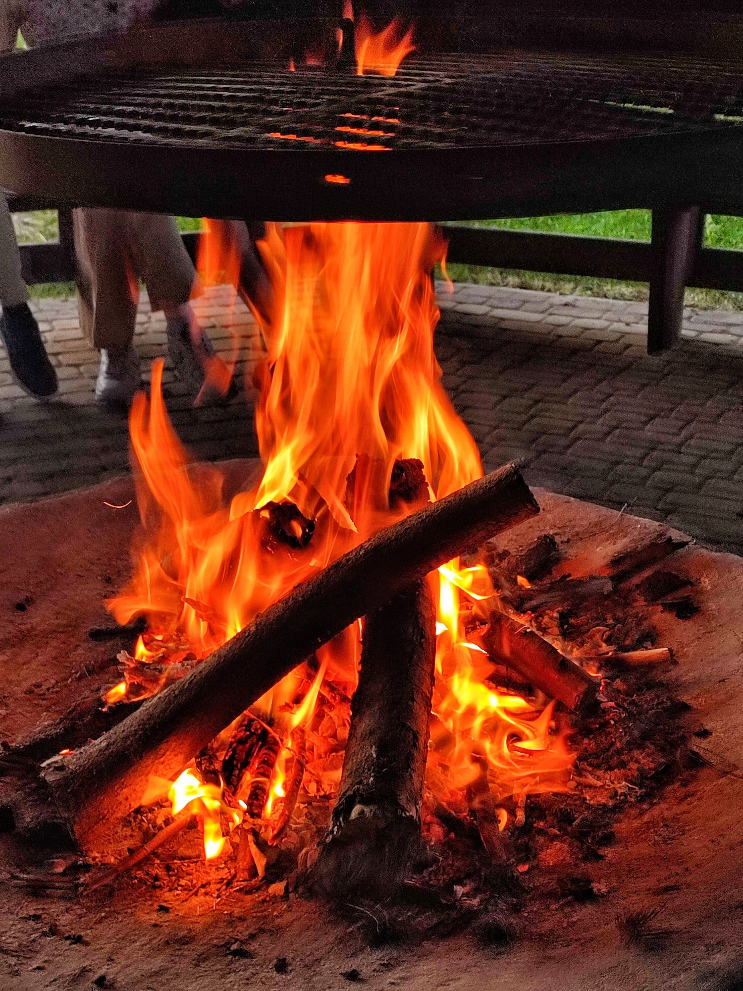 ognisko