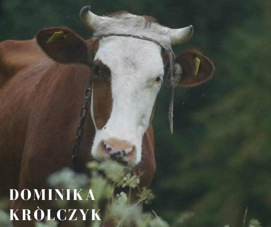 Zdjęcie roku 2021/22