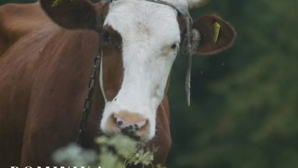 Zdjęcie roku 2021/22