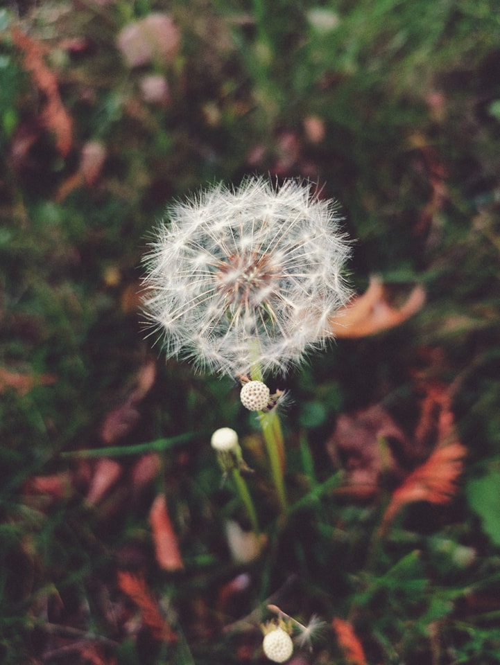 Jesień w Bursie - wystawa fotograficzna