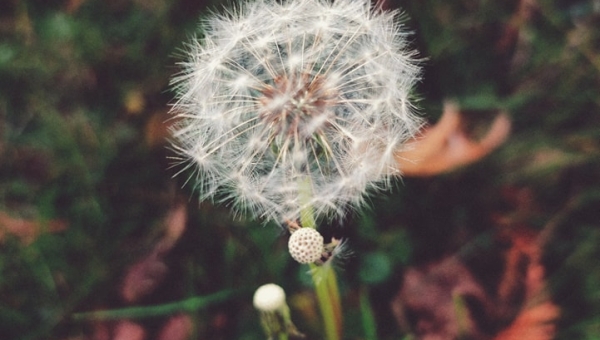 Jesień w Bursie - wystawa fotograficzna