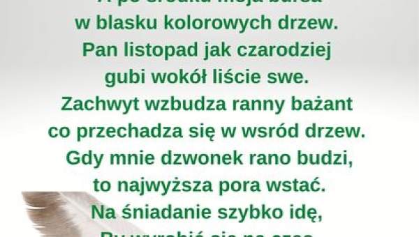 Ogłaszamy wyniki wyzwania literackiego!