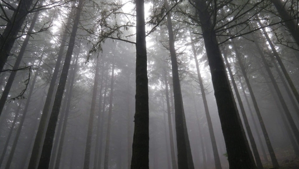 Fotografia Dnia - Olek Hojniak