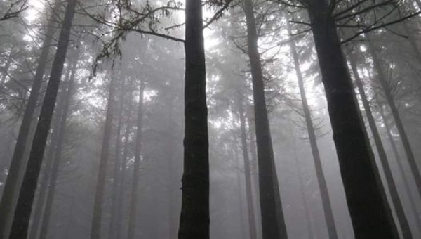 Zdjęcia miesiąca edycja GRUDZIEŃ