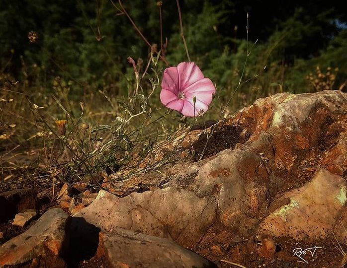 W obiektywie rodzica