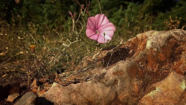 W obiektywie rodzica