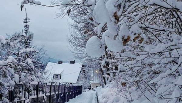 Wyniki konkursu fotograficznego "Stary Sącz w zimowej szacie"