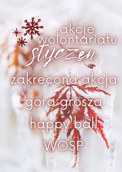 akcje wolontariatu