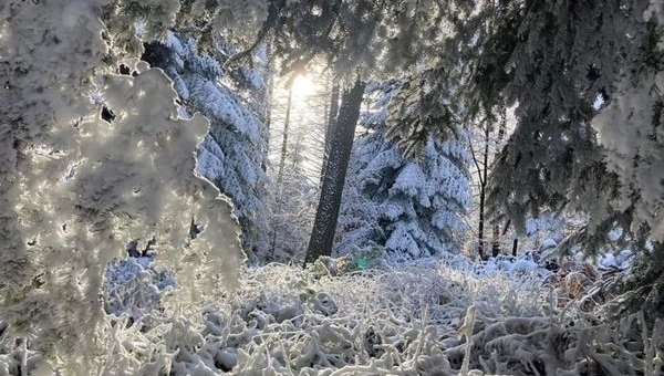 Znamy wyniki  edycji zdjęcie Stycznia