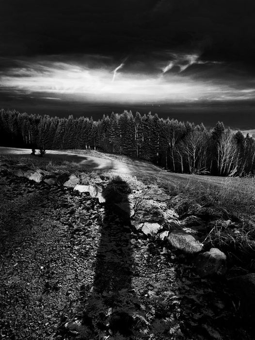 Fotografia Monochromatyczna