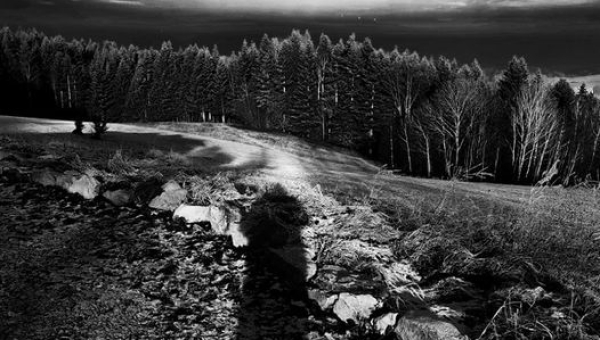 Fotografia Monochromatyczna