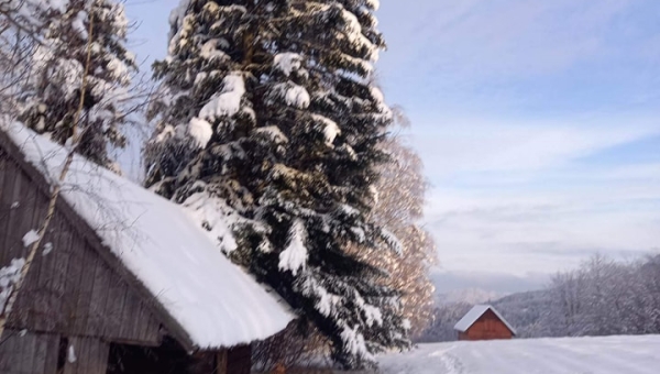 Fotografie mijającego tygodnia