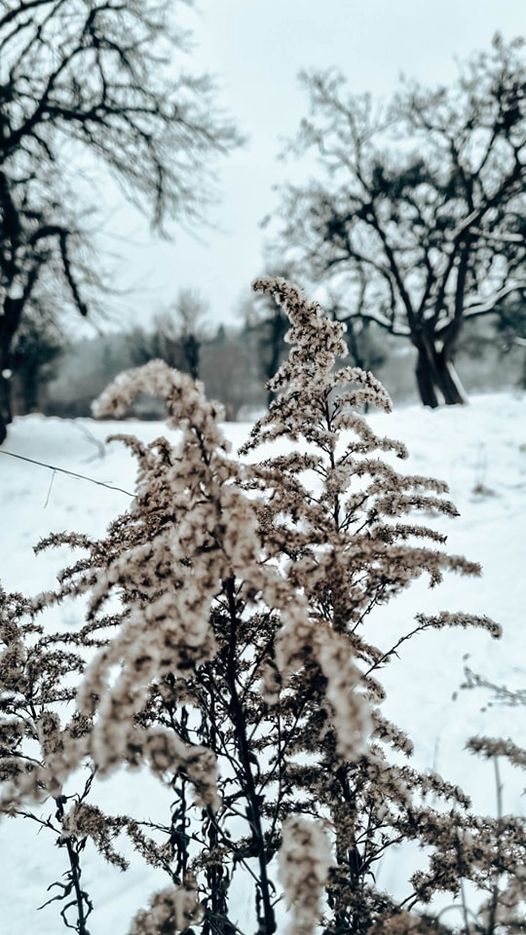 W obiektywie rodzica J. Franasowicz