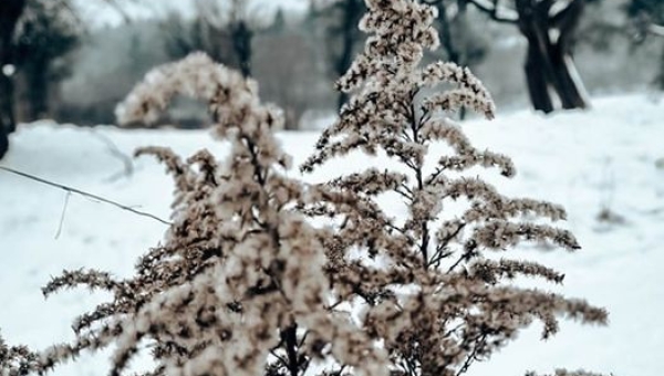 W obiektywie rodzica J. Franasowicz