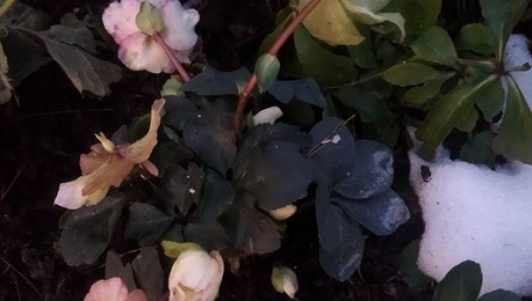 W obiektywie rodzica M. Keder 