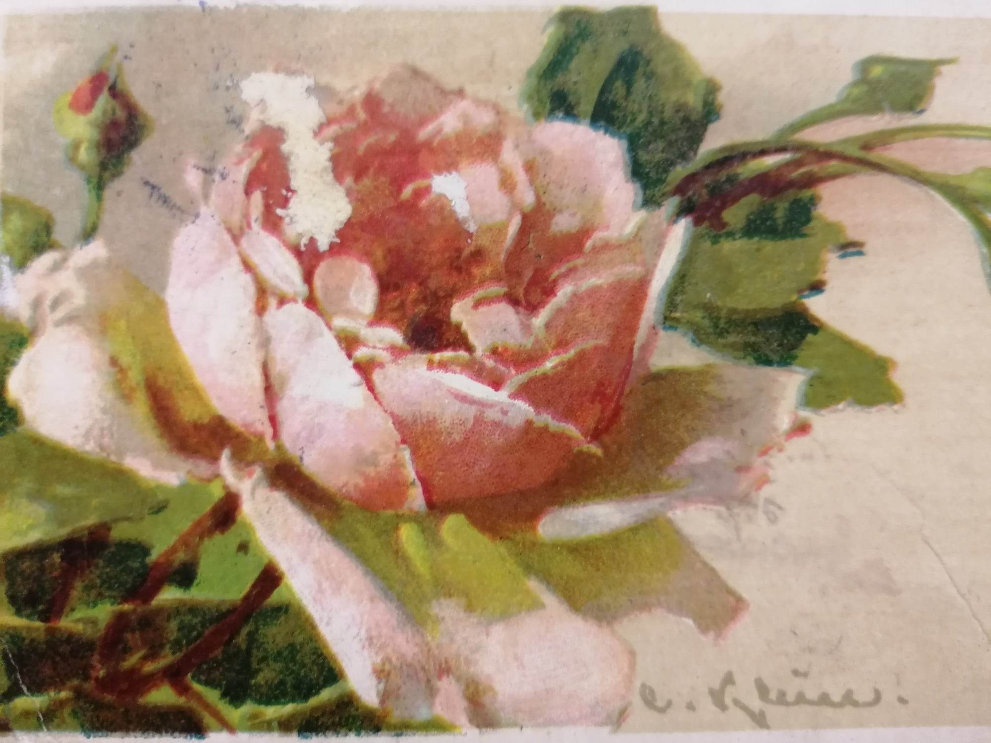 Pocztówki okolicznościowe