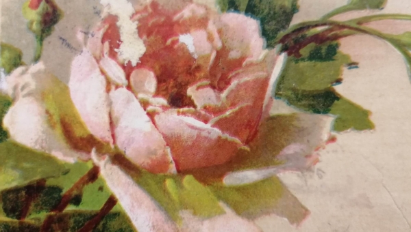 Pocztówki okolicznościowe