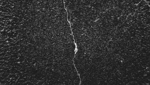 W obiektywie rodzica T. Ryś