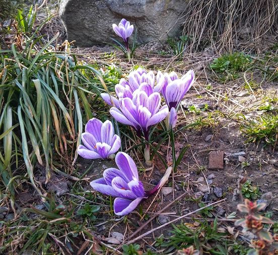 W obiektywie rodzica Z. Tarchała