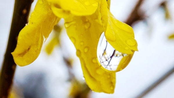 PRACOWNIA FOTOGRAFII  Wiosna jest jak kobieta - niby już idzie ale jeszcze siedzi z ręcznikiem na głowie i maluje paznokcie 😃 Dziś mocno czujemy to słynne przesilenie wiosenno - zimowe... I dobrze bo to znaczy że wiosna i ciepełko już tuż tuż.