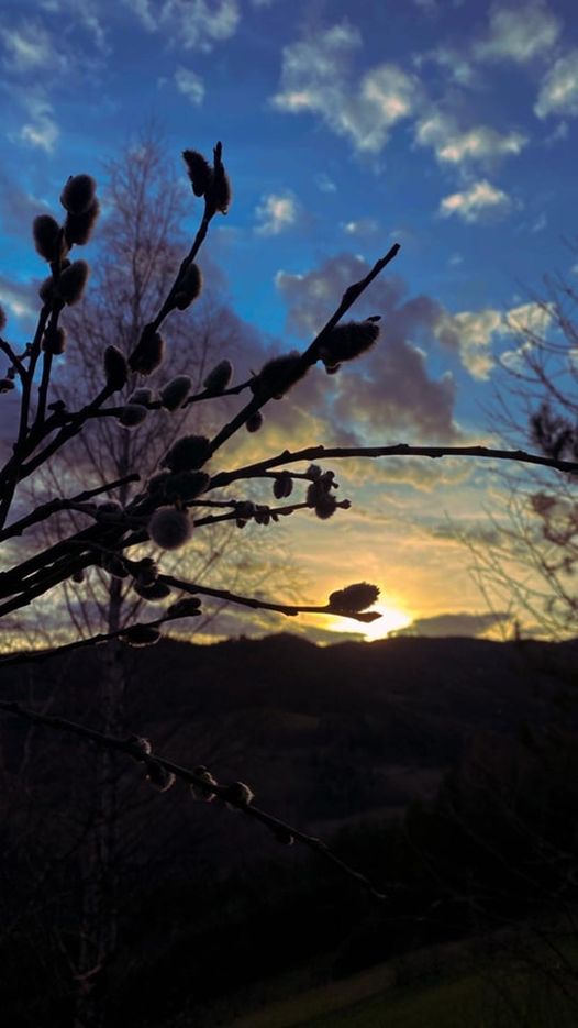 Fotografie mijającego tygodnia