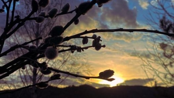Fotografie mijającego tygodnia