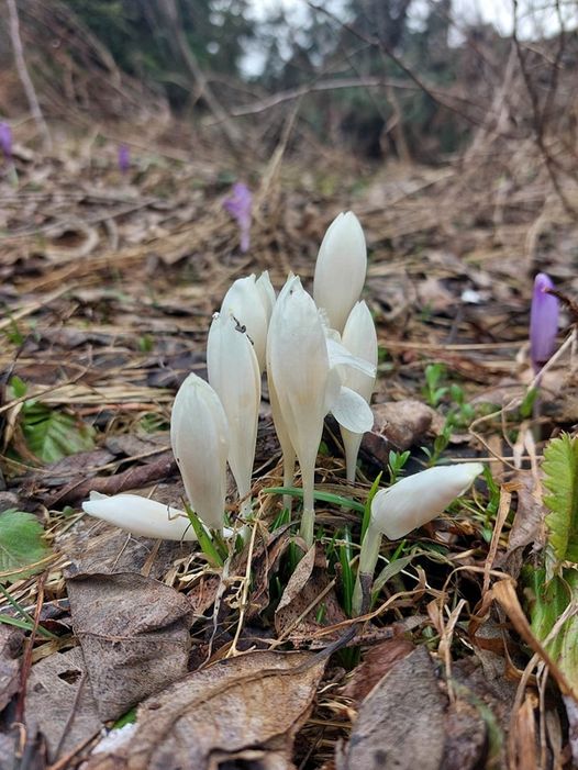 Fotografie mijającego tygodnia