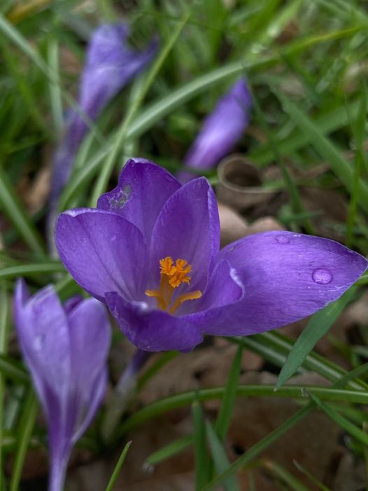 Fotografie mijającego tygodnia