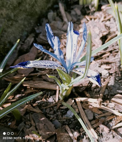 W obiektywie rodzica D. Nowak