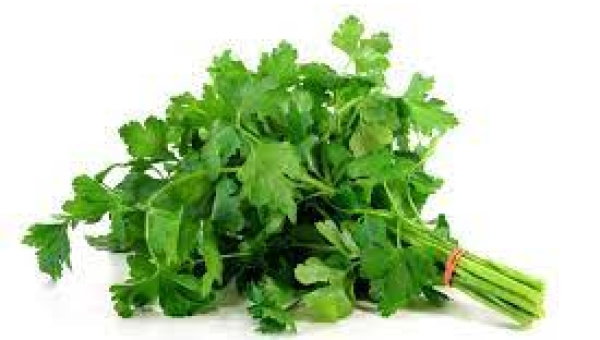 Pietruszka i jej właściwości 