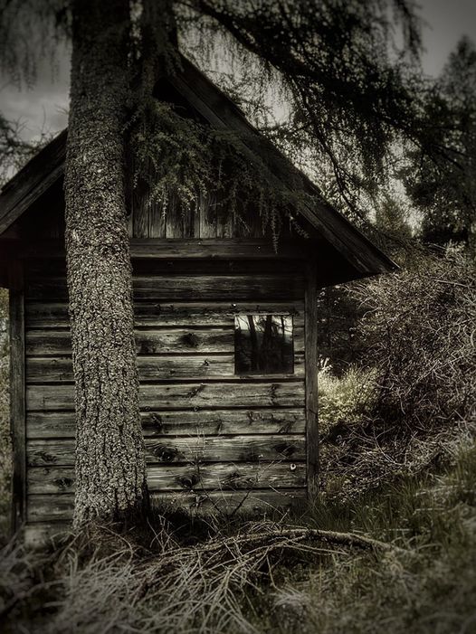 Absolwenci foca. Krzysiek Nowak