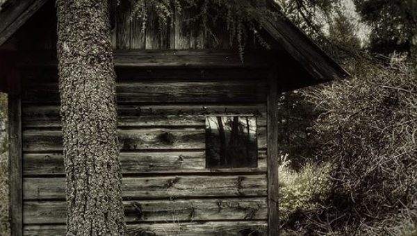 Absolwenci foca. Krzysiek Nowak