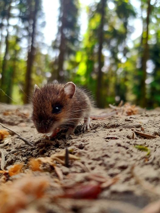 Zdjęcia miesiąca edycja MAJ
