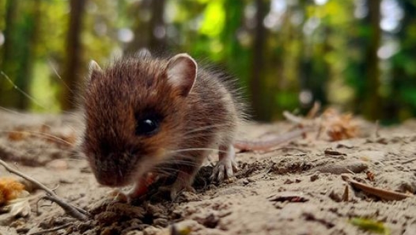 Zdjęcia miesiąca edycja MAJ