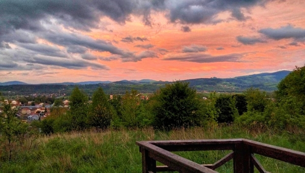 Fotografie mijającego tygodnia